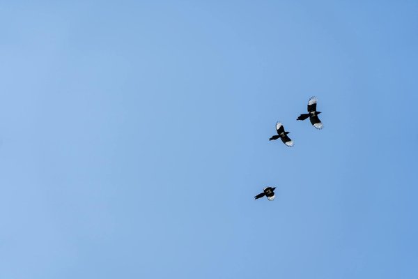 Mastering motherhood: a british woman's essential handbook for overcoming childbirth anxiety