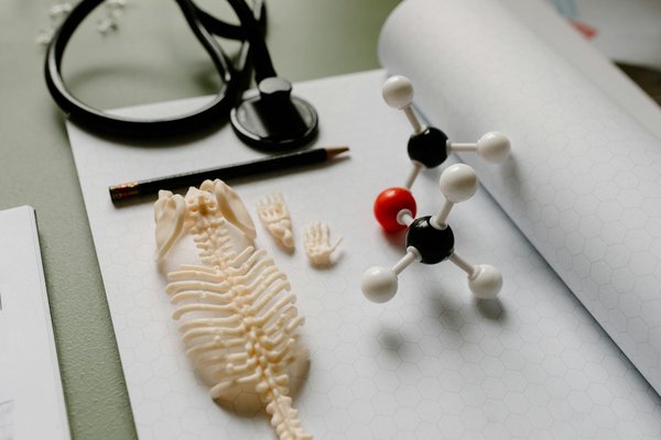 Ultimate handbook for expecting uk moms: developing a parental leave strategy with a preterm birth plan